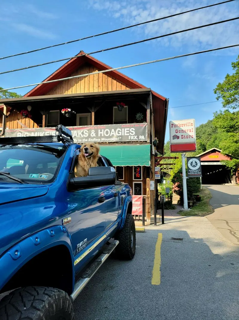 Tips For First-Timers: Parking, Cash, And Navigation