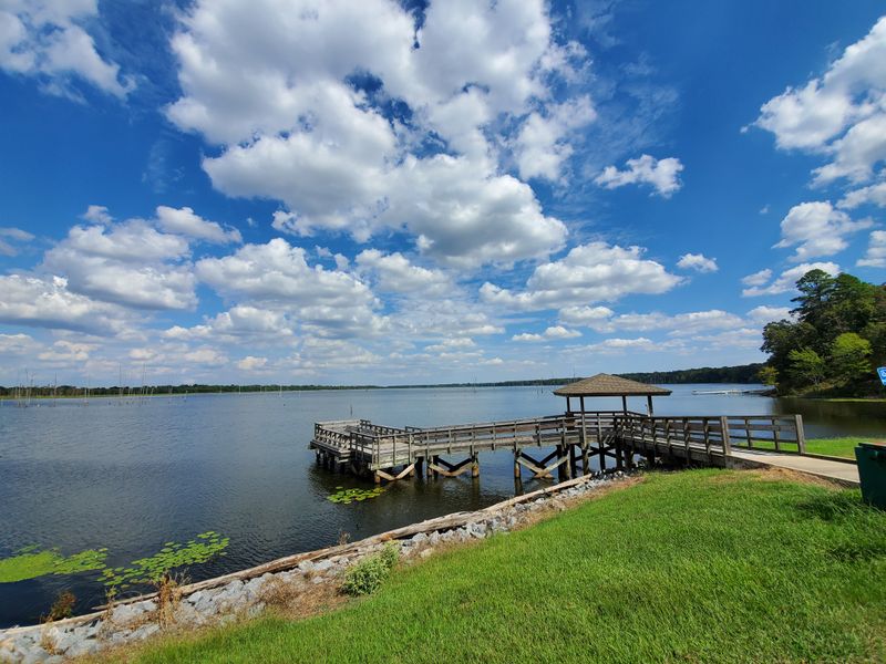 Cane Creek State Park Campground — Star City, AR