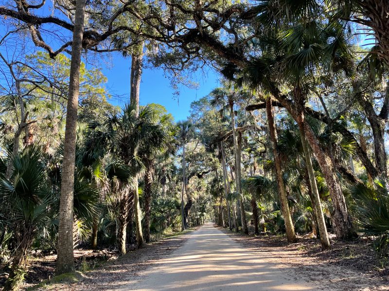 Practical Tips: Hours, Fees, and Weather