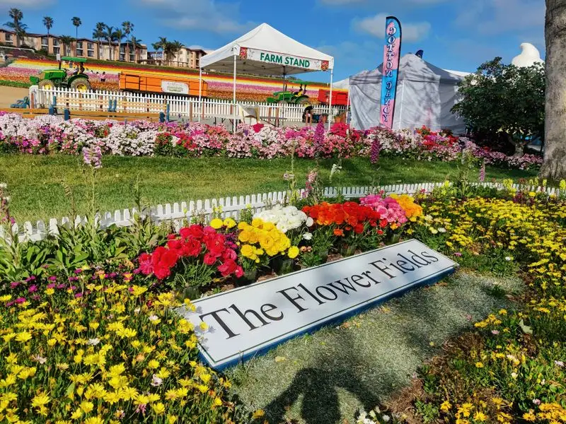 Practical visit tips and timing