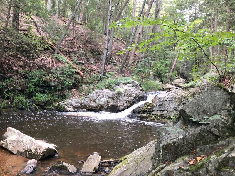 Fishing and Water Activities