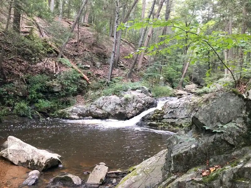 Fishing and Water Activities