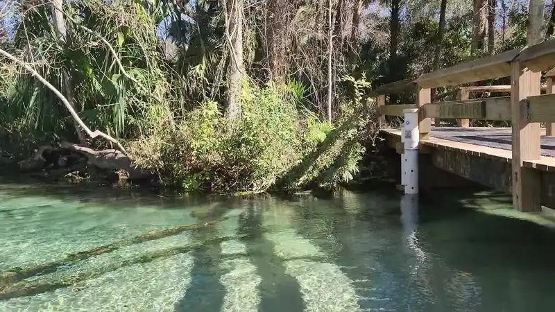 Accessibility and Convenience