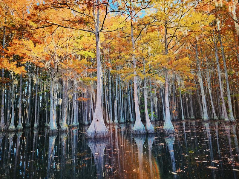 A Landscape That Changes With the Seasons