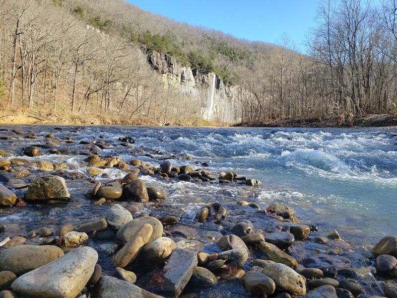 Wildlife Watching Along the Riverbanks