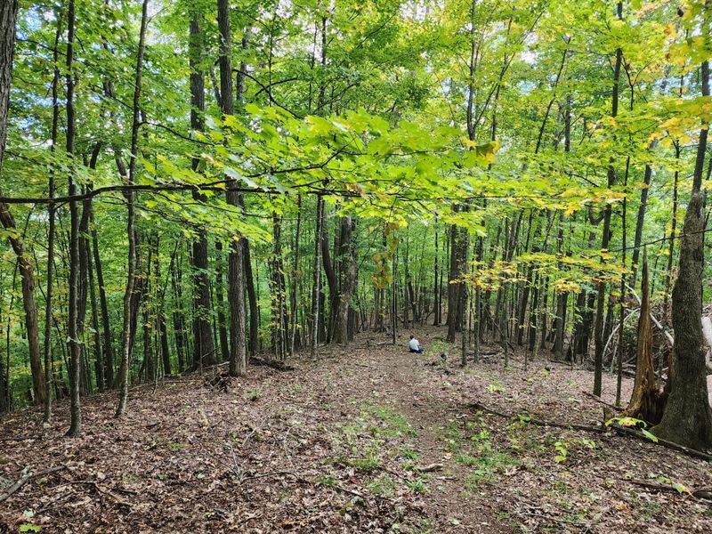 Leave No Trace in a lesser traveled forest