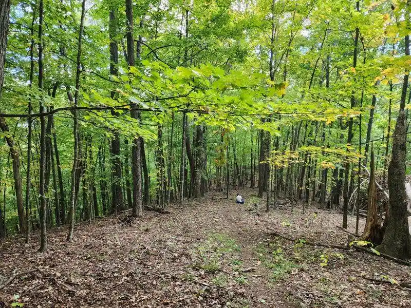 Leave No Trace in a lesser traveled forest