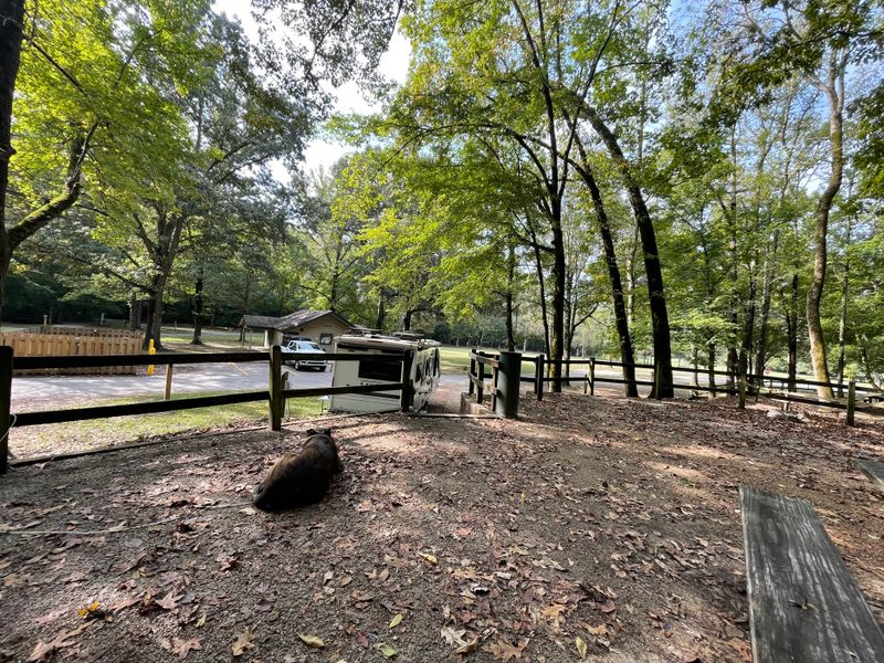Village Creek State Park Campground — Wynne, AR