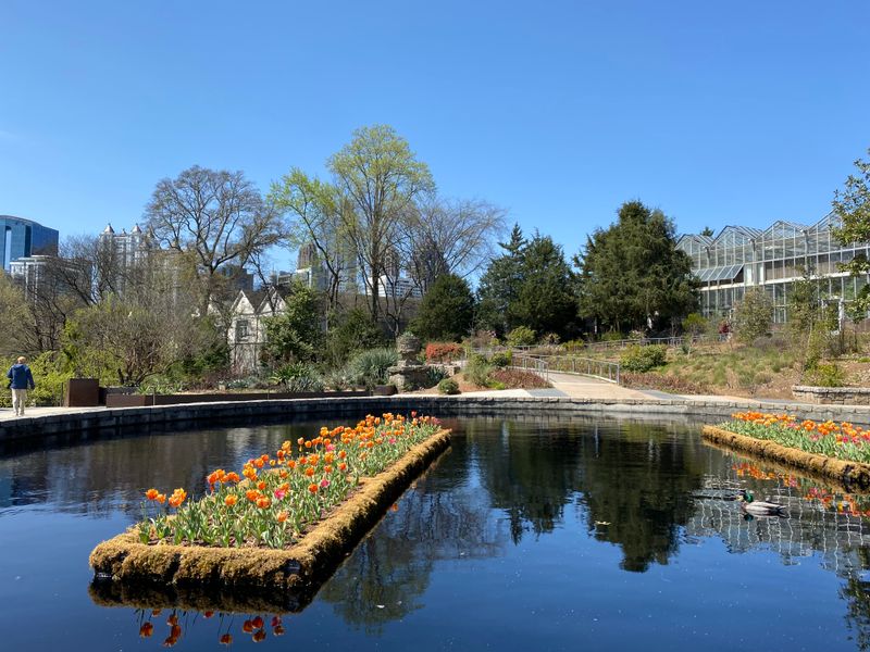 Skyline Garden and City Views