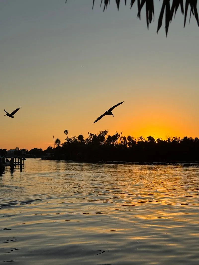 Route snapshots: springs, channels, and views