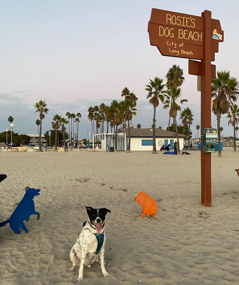 Rosie&rsquo;s Dog Beach &mdash; Long Beach, CA