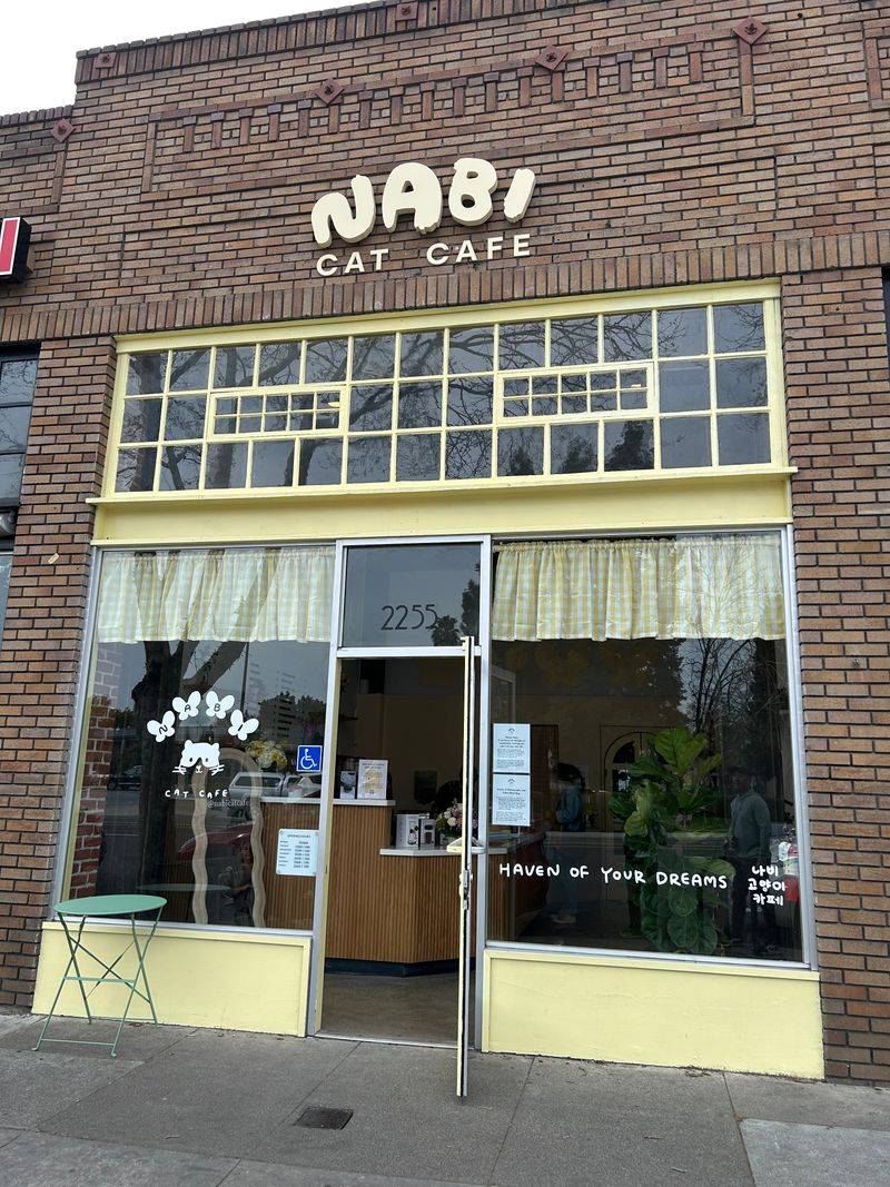 Nabi Cat Cafe - Santa Clara, CA