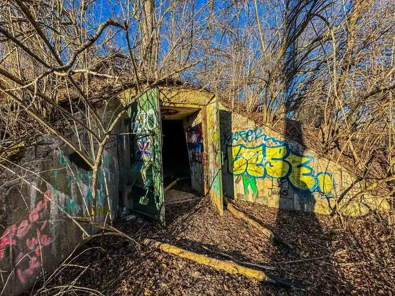 Seasonal Tips: Ticks, Mud, And Overgrowth