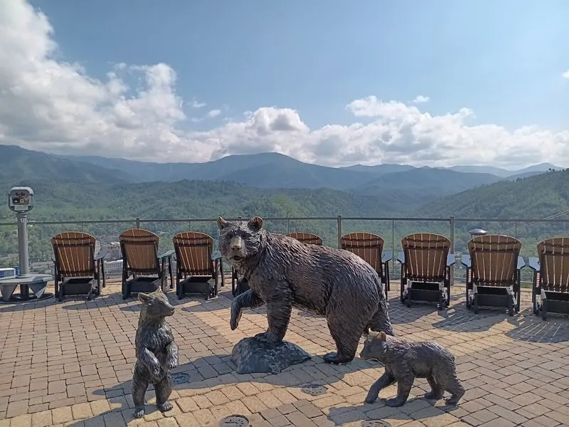 SkyDeck Views And Rocking Chairs