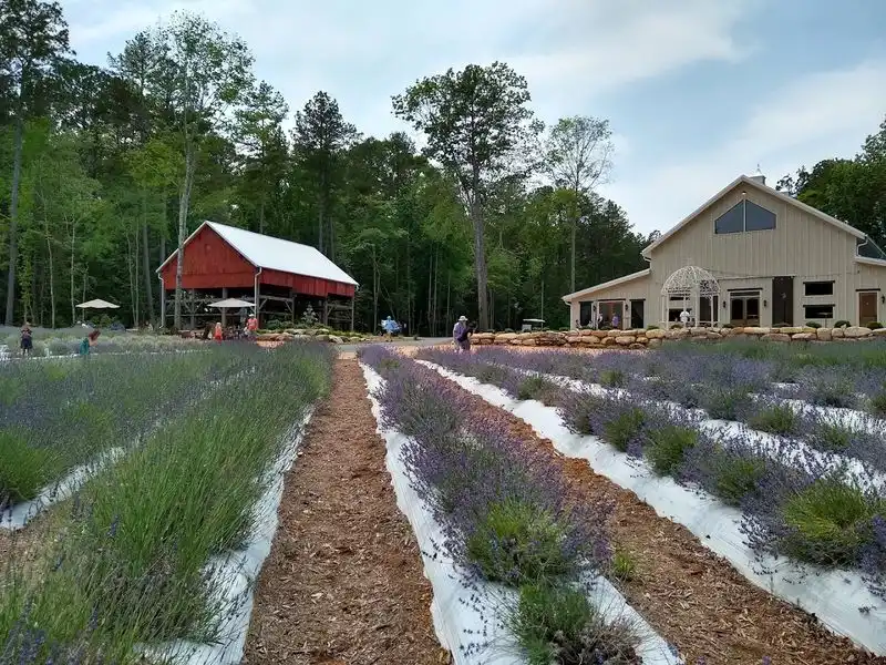 Meet the Heart Behind the Farm