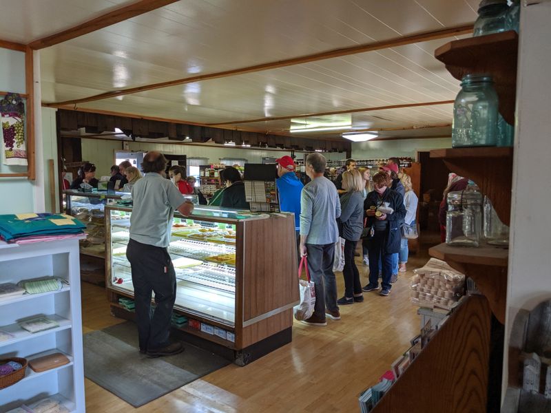 Cash, Cards, and Timing Tips