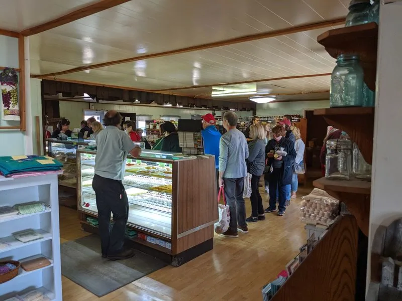 Cash, Cards, and Timing Tips