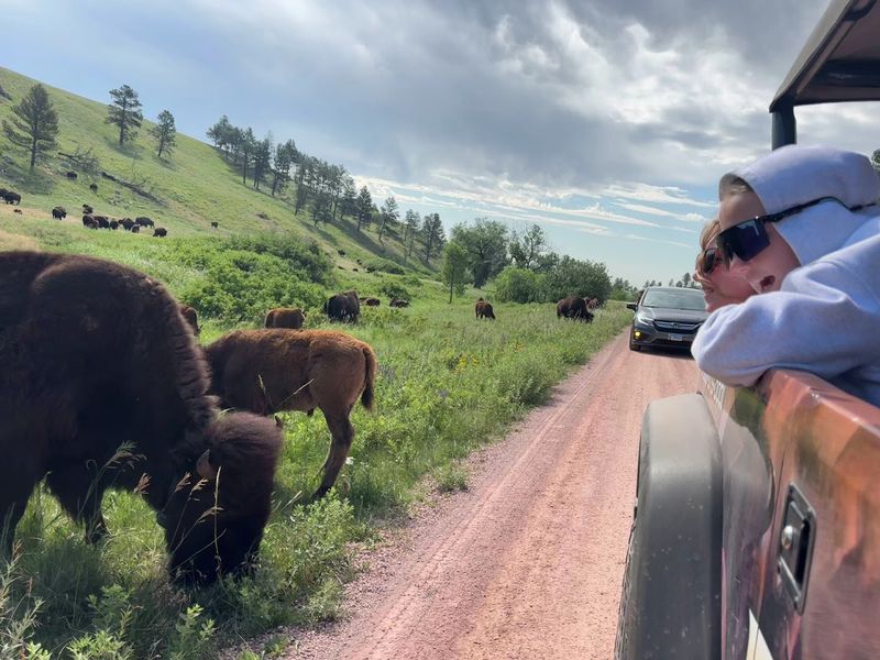 Private Tour Option for a Personalized Adventure