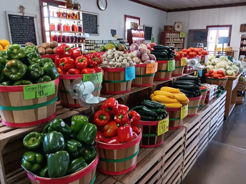 Perfect Stop on Amish Country Scenic Drives