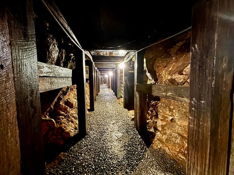 Pan for Gold at Reed Gold Mine (Midland)