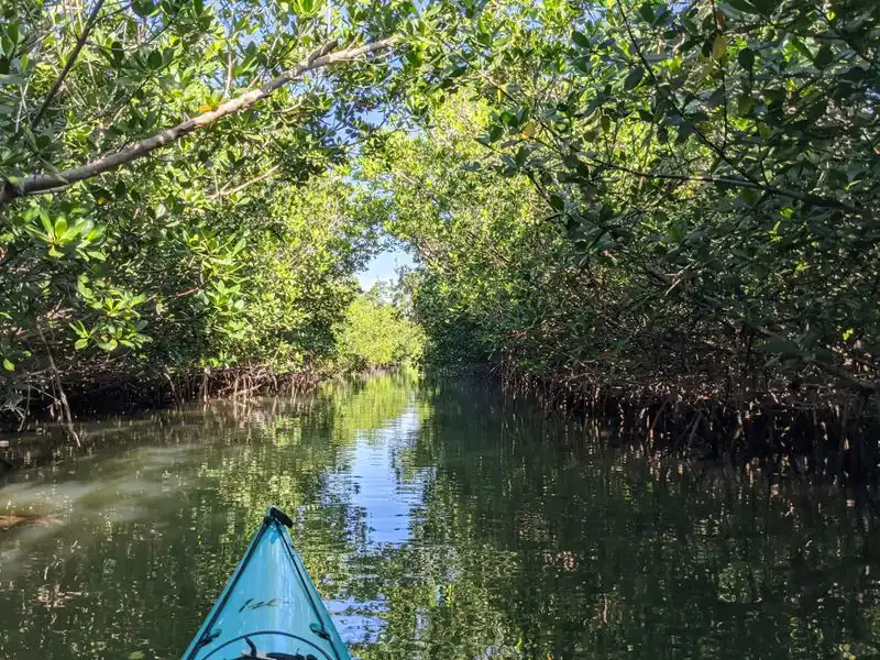 Curry Hammock State Park