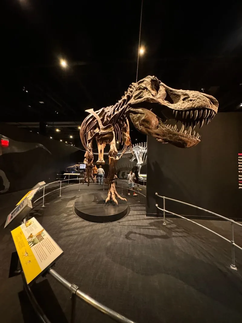 Center of Science and Industry (COSI)