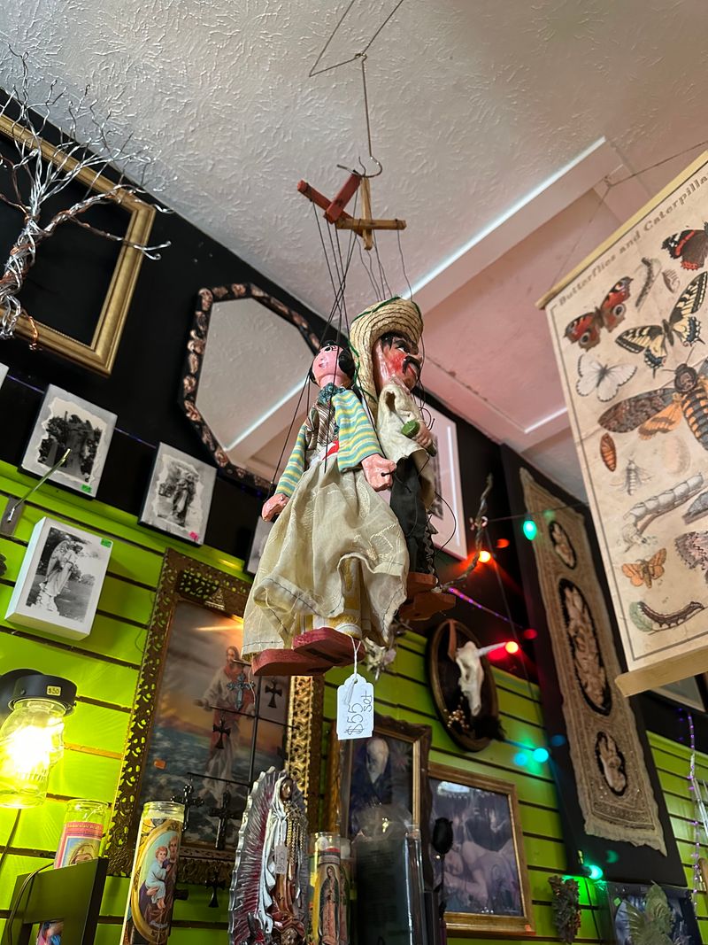 The Secret Chamber House of Oddities and Artwork