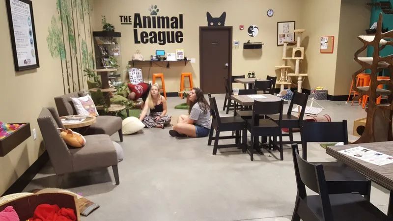 What To Expect From Staff And Volunteers