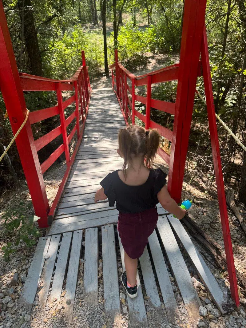 Dino Adventure Trails