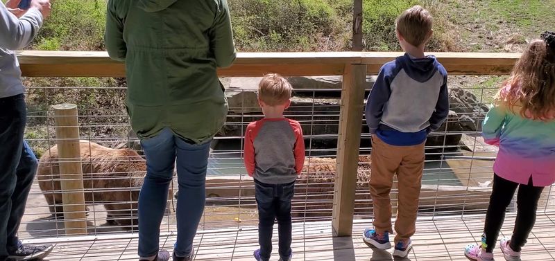 Essential Visitor Information