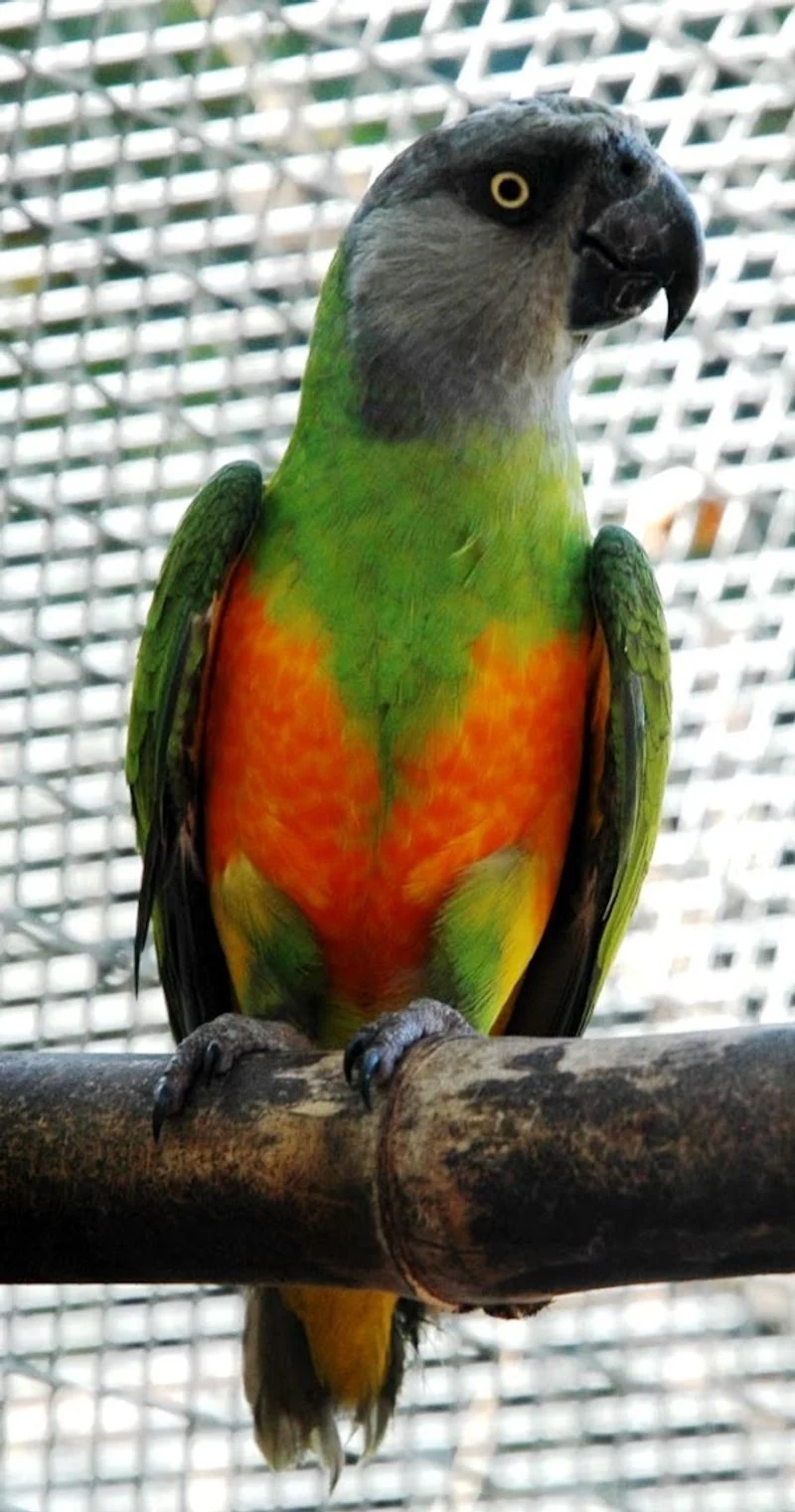 Unique Resident Stories