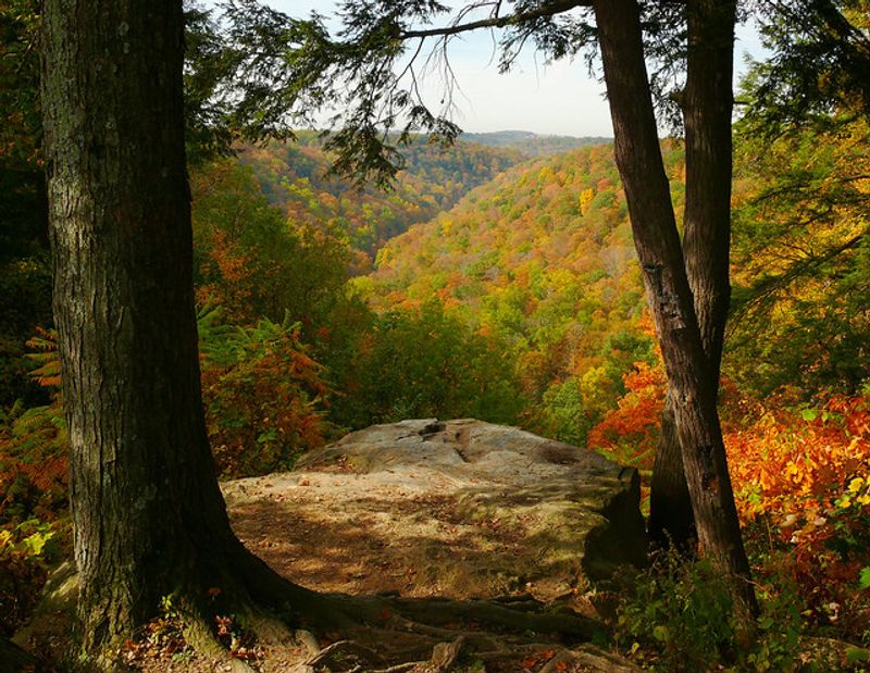 McConnells Mill State Park &ndash; Cleland Rock Overlook