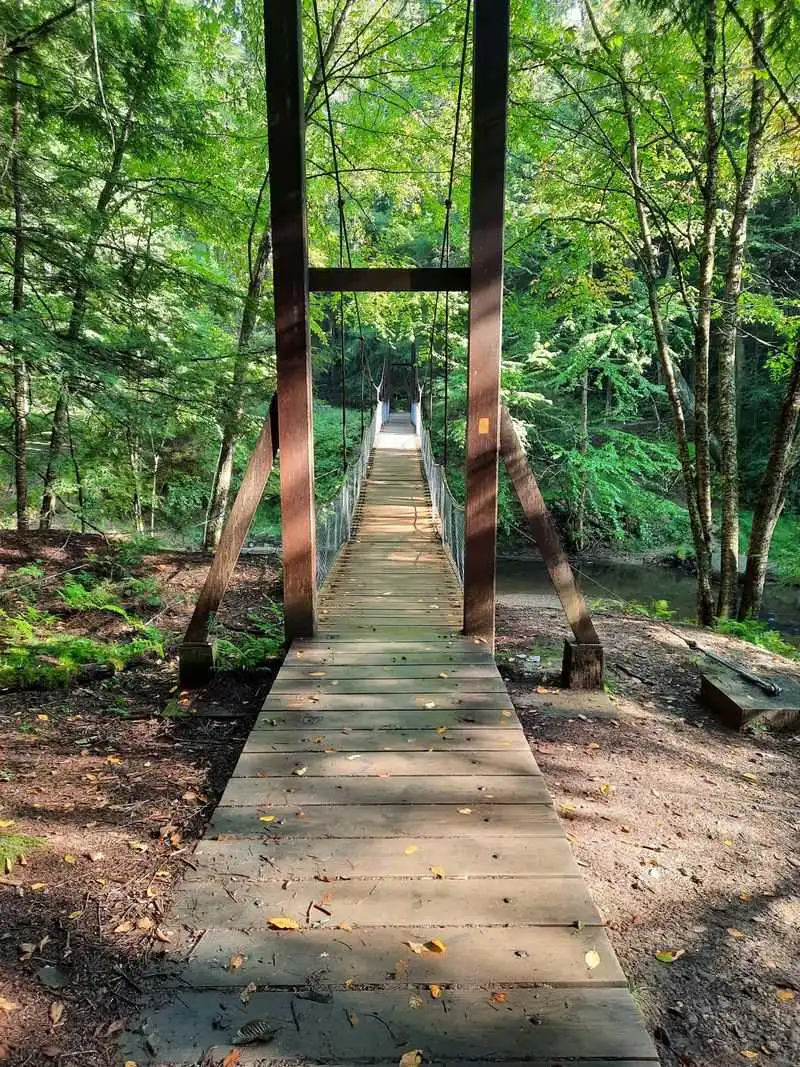 Toms Run and Swinging Bridge