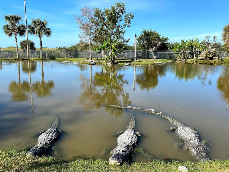 Big Cypress National Preserve