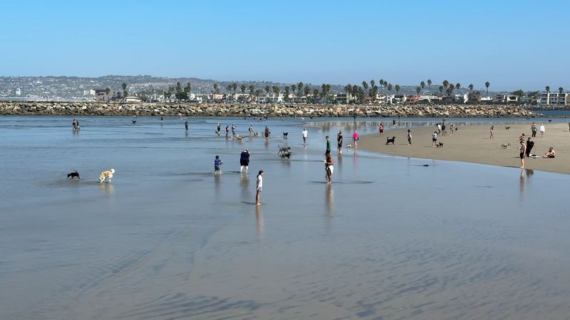 North Beach (Ocean Beach Dog Beach) &mdash; San Diego, CA