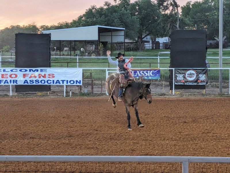 Rockdale Fair & Rodeo