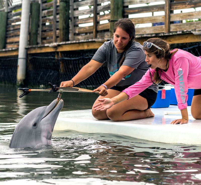 Dolphin Research Center