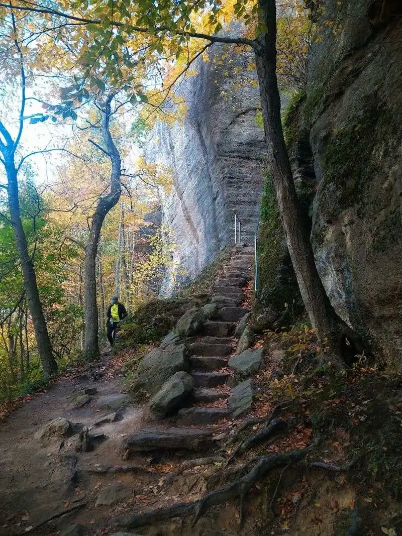 Wildlife and Winter Ecology Along the Trail