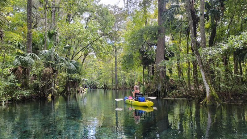 Silver Springs State Park &mdash; Silver Springs, FL