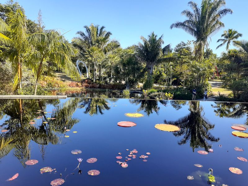 Naples Botanical Garden
