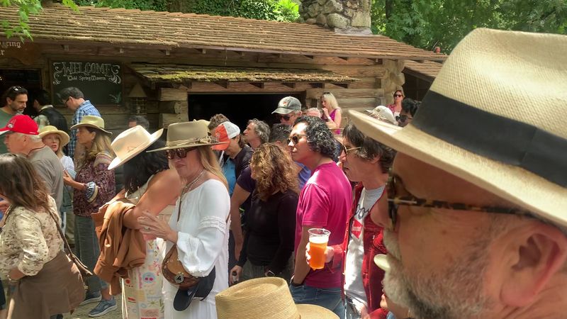 Live Music Experience