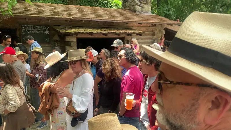 Live Music Experience