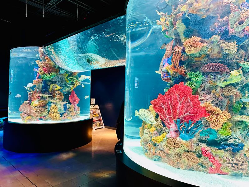 Electric City Aquarium & Reptile Den &ndash; Scranton, PA