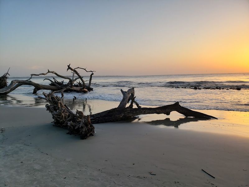 Driftwood Beach