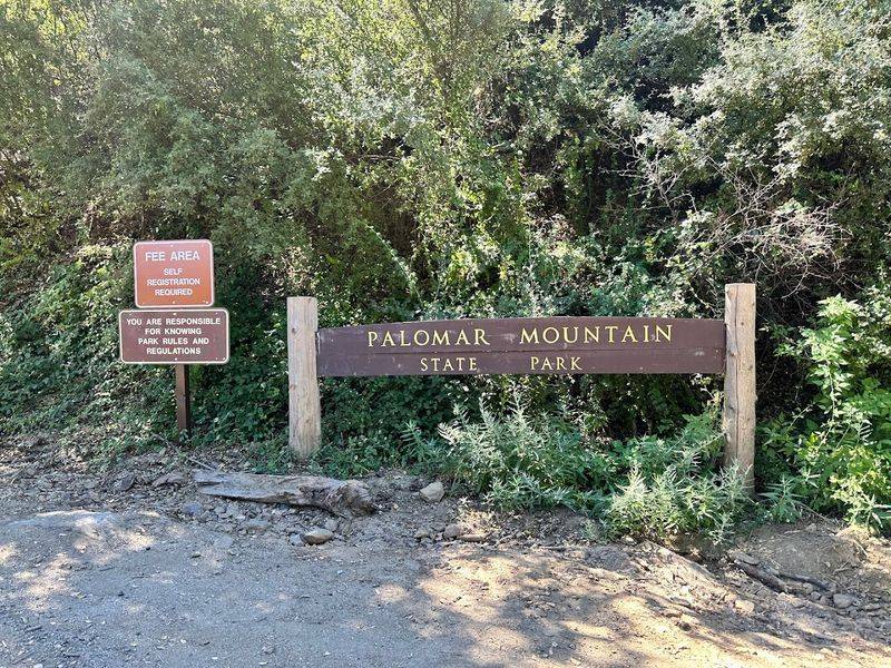 Deep Cultural and Indigenous Roots