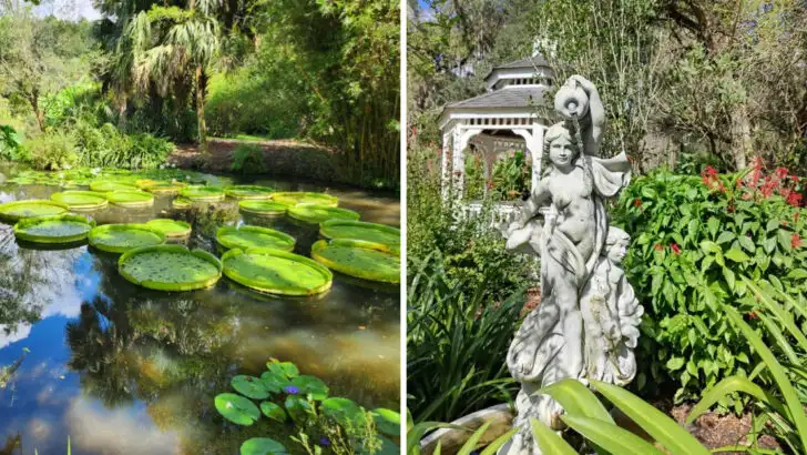 Decades in the making, this Florida botanical garden still feels like a local secret
