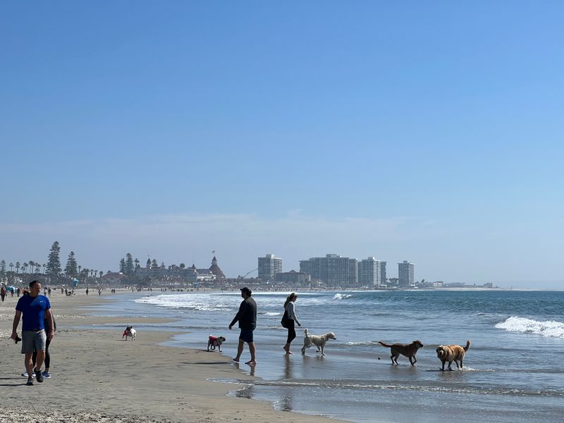 Coronado Dog Beach &mdash; Coronado, CA