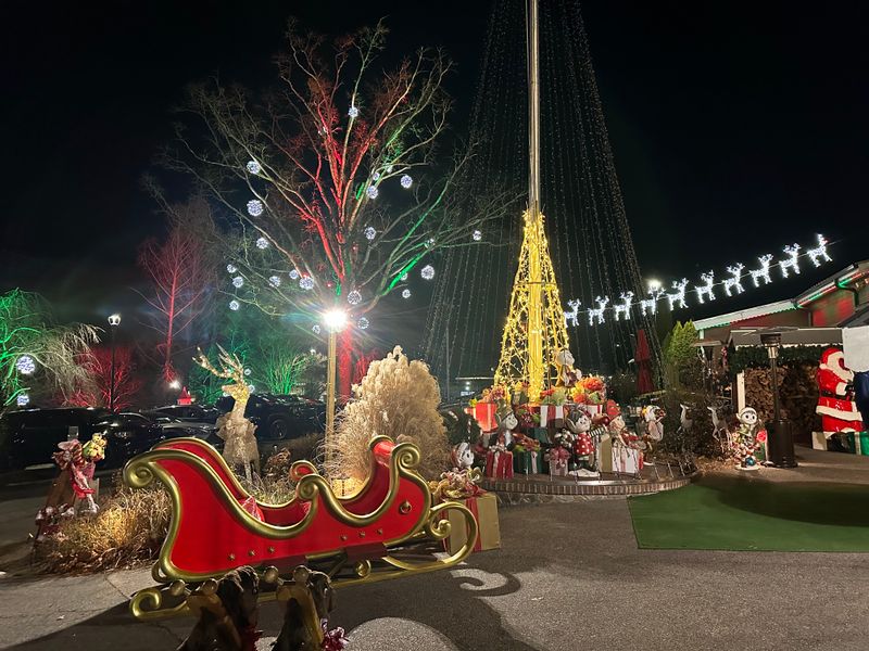 Why Winter Is The Best Time To Go