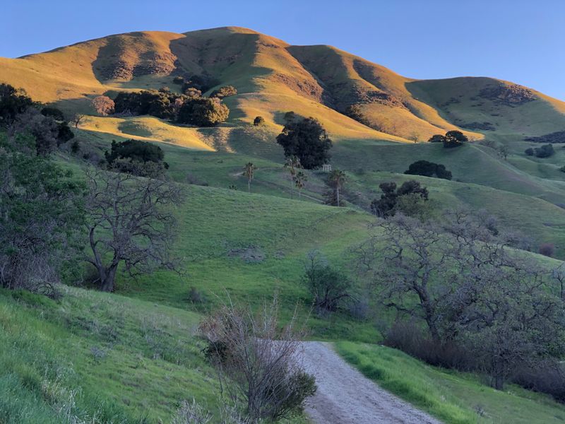 Alum Rock Canyon &mdash; San Jose