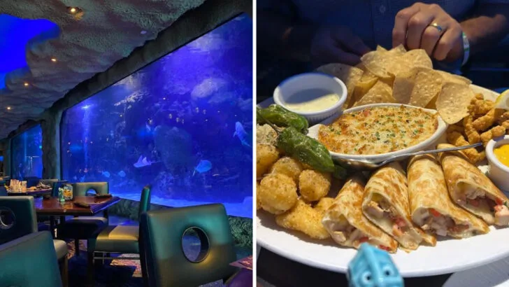 Dine Next to Giant Aquarium Tanks at This Ocean-Themed Restaurant in Texas